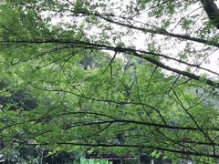 -杭州西湖风景名胜区-三生石