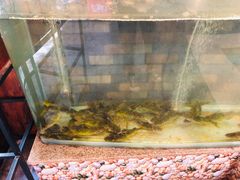 -荣德灶台鱼(圣泉寺店)