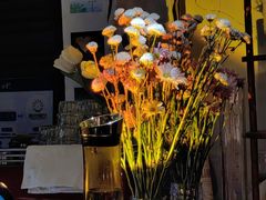 -Catail前苑(前门大街店)