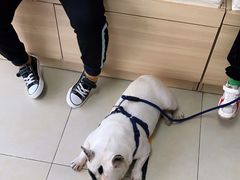 -宠福鑫康馨动物医院·骨科·眼科