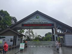 -中国大熊猫保护研究中心雅安碧峰峡基地