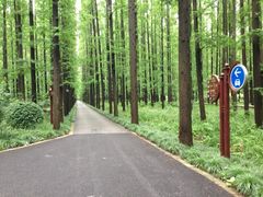 SS-上海怡沁园度假酒店