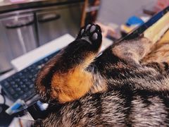 -猫的天空之城概念书店(杭州南宋御街店)