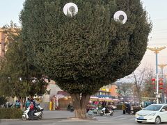 -特克斯八卦城