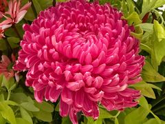 -外滩二十二号艺术中心