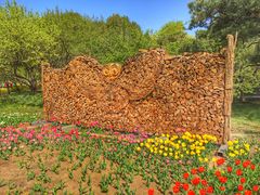 -国家植物园南园