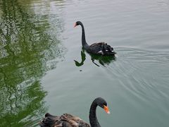 -哈尔滨北方森林动物园