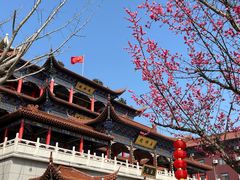 -皇罗禅寺