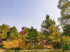 -须弥福寿之庙