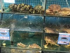 水产区-范饭椰林川湘味海鲜·椰子鸡(三亚湾椰梦长廊店)