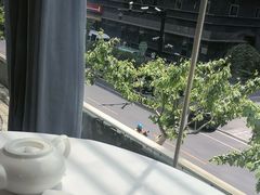 -上海小南国(不夜城店)