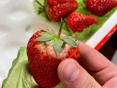 -西郊国际农产品交易中心