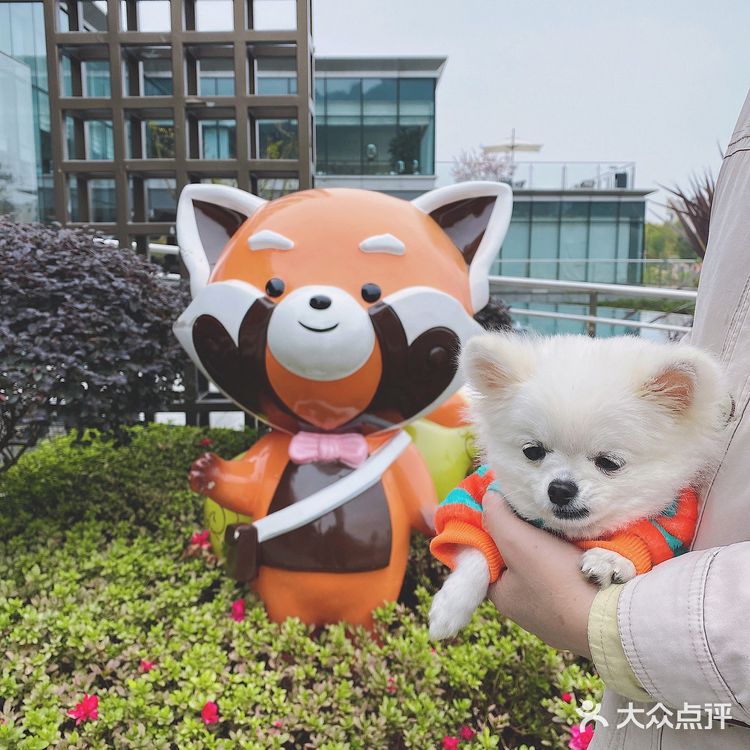 山生荟，中餐为主，人均60元左右，味道还行