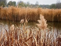 -野鸭湖国家湿地公园