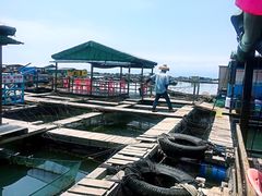 -海上驿站渔家菜馆