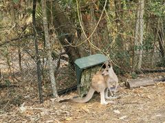 -威勒比开放式动物园