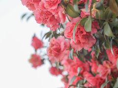 -长沙火车站(地铁站)