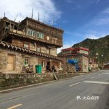 真正风吹草低见牛羊的地方