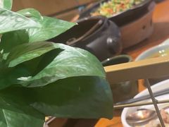 -云海肴·汽锅鸡·云南菜(苏州中心店)