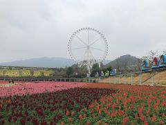 -望天湖