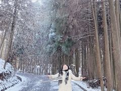 -山王坪喀斯特国家生态公园