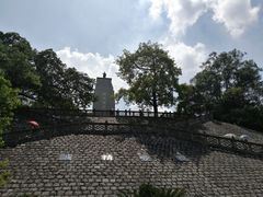 -长洲岛