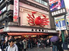 -蟹道乐(道顿堀本店)