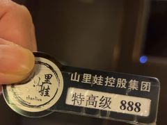 -山里娃养生集团(临朐店)