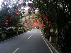 -大屏嶂森林公园