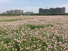 -皇粮浜公园