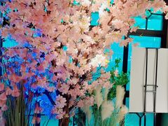 -野妹火锅(龙岗店)