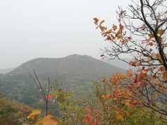 -香山公园-东宫门售票处