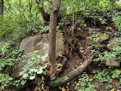-大岭沟猕猴桃谷风景区