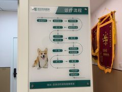 -瑞派康怡24h宠物医院·犬猫医疗中心·微创绝育(瑞景分院)