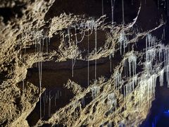 -怀托摩萤火虫洞