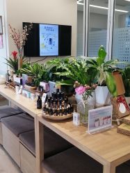 点击看大图 -dōTERRA多特瑞精油生活馆