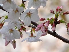 -宁波大学附属第一医院(外滩院区)