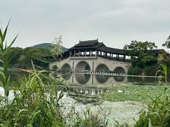 -长广溪湿地公园