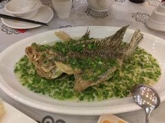 特色葱油飞鱼-岭南海晏楼(东晓南店)