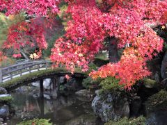 -京都御所