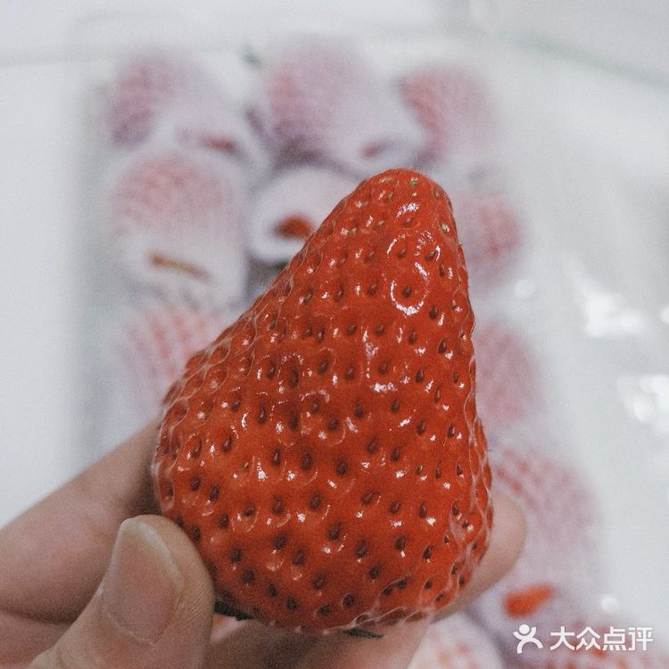 测评 | 一斤50元,一颗5块钱的丹东草莓值得买吗?