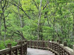 -紫金山山顶公园