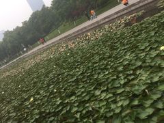 -尚贤河湿地
