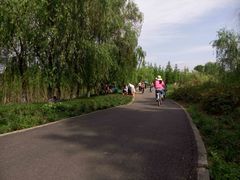 -白鹭湾湿地公园