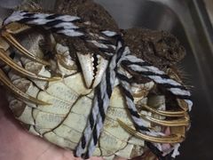 -喜洋洋蟹庄(阳澄湖店)