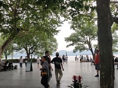 -西湖游船
