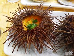 海胆-海岛渔村大酒店(云霄路店)
