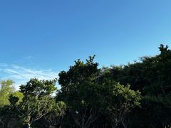 -嘉北郊野公园