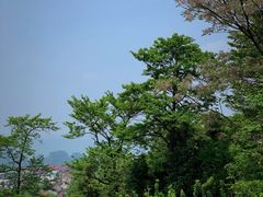 -十九峰景区