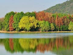 -长广溪湿地公园